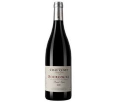 Domaine Marlyse Chauvenet Bourgogne Pinot Noir 2020 0,75 l