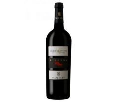 Cantine Paololeo Salice Salentino DOC Riserva 2016 0,75l