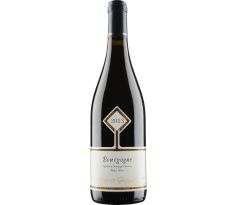 Domaine Maurice Gavignet Bourgogne Côte d’Or Pinot Noir 2020 12,5% 0,75l (čistá fľaša)