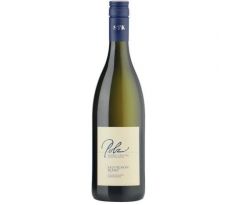 Polz Sauvignon Blanc Südsteiermark 2023 12,5% 0,75l (čistá fľaša)