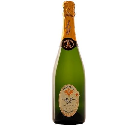 Jacques Robin Champagne Brut Cuvée "Ma Bonne Etoile" 12,5% 0,75l (čistá fľaša)