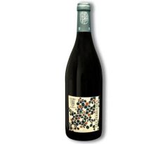 Domaine Béatrice & Pascal Lambert Les Perruches Chinon AOP BIO 2018 14,5% 0,75l (čistá fľaša)