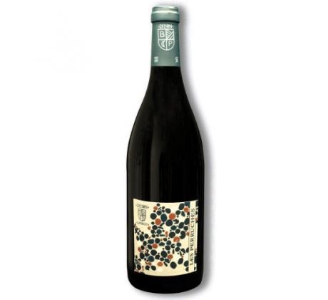 Domaine Béatrice & Pascal Lambert Les Perruches Chinon AOP BIO 2018 14,5% 0,75l (čistá fľaša)