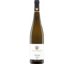 Víno Emrich-Schonleber Halenberg Riesling -R- 2021 12% 0,75l (čistá fľaša)