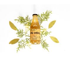 SAMBA KOMBUCHA Original 12 x 200 ml