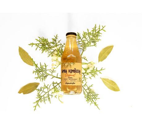 SAMBA KOMBUCHA Original 12 x 200 ml