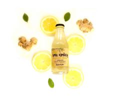 SAMBA KOMBUCHA Ginger Lemon 12 x 200 ml