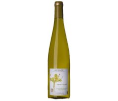 Cave de Turckheim Pinot Blanc BIO 2023 0,75l (čistá fľaša)