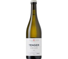 Villa Tolnay Balatoni Tenger Cuvée  ** 2024 13% 0,75l (čistá fľaša)