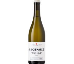 Villa Tolnay Balatoni Csobáncz Rajnai Rizling "Kápolna-Domb" *** 2024 14% 0,75l (čistá fľaša)
