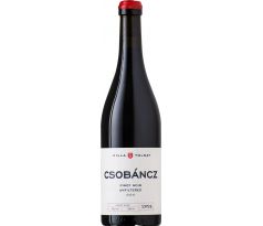 Villa Tolnay Balatoni Pinot Noir Unfiltered *** 2024 12,5% 0,75l (čistá fľaša)