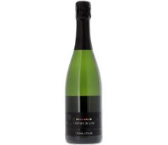 Château D'Avrillé Crémant de Loire Brut 12% 0,75l (čistá fľaša)
